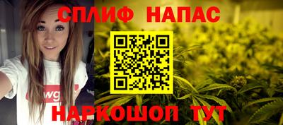 apvp Пугачёв