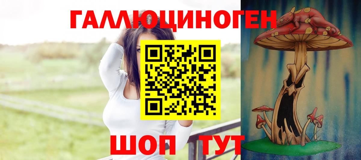 Псилоцибиновые грибы Magic Shrooms Новосибирск